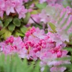 亚洲专区+欧美专区+自拍 3w00g1d