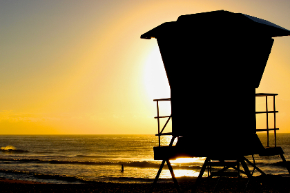 青春的盛宴在线播放