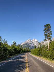 青春草在线视频免费观看