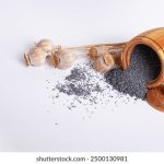 岳风柳萱小说免费阅读 qlbb4