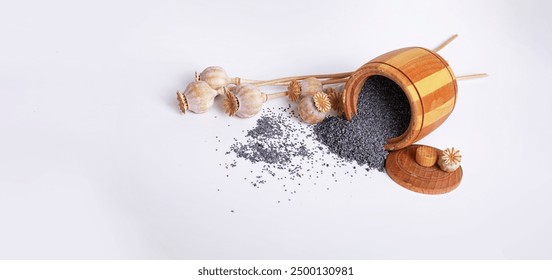 岳风柳萱小说免费阅读