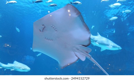 yhdm66.com：探索最新影视资源，畅享无尽观影乐趣